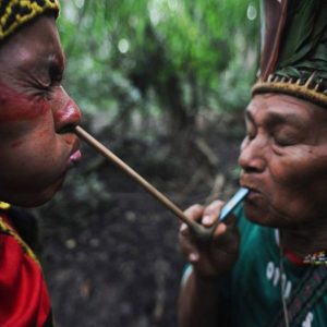 Рапэ и Аксессуары