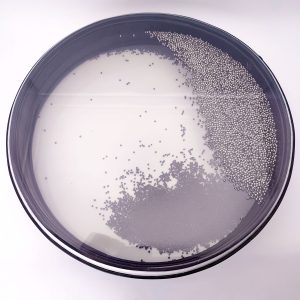 Шум Океана Двойной из Веганской Кожи «Инь-Ян» средний (35 см)