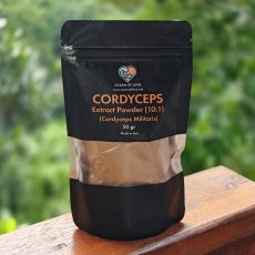 Порошок экстракта гриба кордицепса (10:1) (Cordyceps Militaris) (50 гр)
