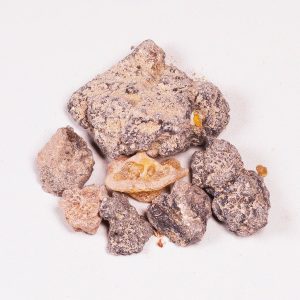 Palo Santo Resin (Bursera Graveloens) (30 gr)