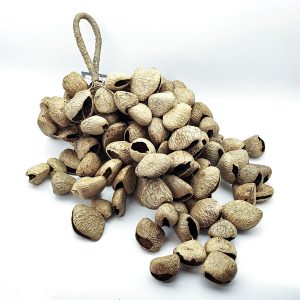 Pangi Shaker "Sound Of River" Jumbo