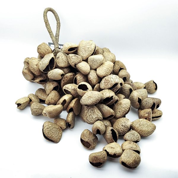 Pangi Shaker "Sound Of River" Jumbo