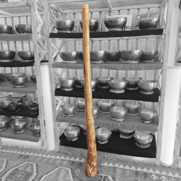 Wooden Didgeridoo Eucalyptus (D#2, 150 cm, 3.1 kg)