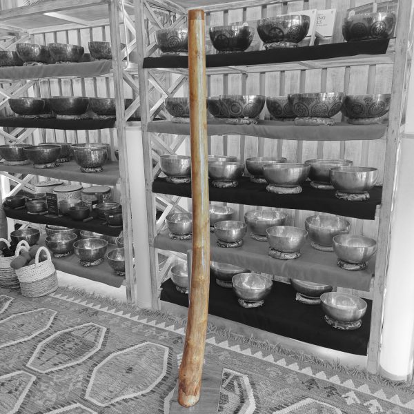 Wooden Didgeridoo Eucalyptus (E2, 140 cm, 2.4 kg)