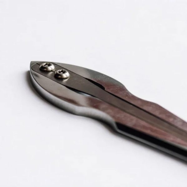 Jaw Harp "Arrow" (+ wooden case) - Image 3
