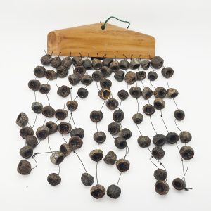 Candlenut Hanging Teakwood Medium