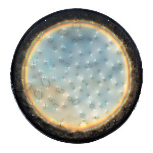 Paiste Sound Creation Earth Gong 32" (81 cm)