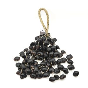 Black Mucuna Beans Shaker Medium