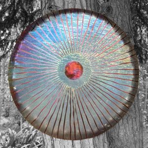 UNIVERSE GONG Vento (Wind Gong) "Blue Eye" VT50-0083 - Note D#2 (49 cm, 1.8 kg)