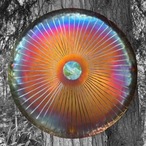 UNIVERSE GONG Vento (Wind Gong) "Blue Golden Eye" VT50-0087 - Note F#2 (49 cm, 1.8 kg)