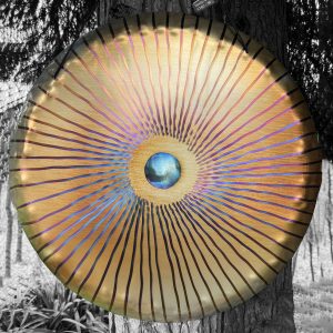 UNIVERSE GONG Vento (Wind Gong) "Golden Eye" VT60-0036 - Note G#2 (59 cm, 2.6 kg)
