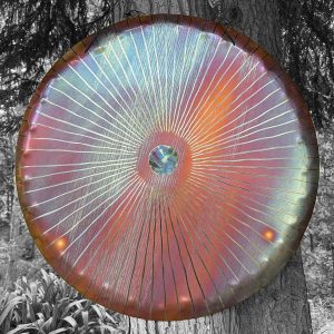 UNIVERSE GONG Vento (Wind Gong) "Blue Purple Eye" VT70-0030 - Note C#2 (69 cm, 3.5 kg)