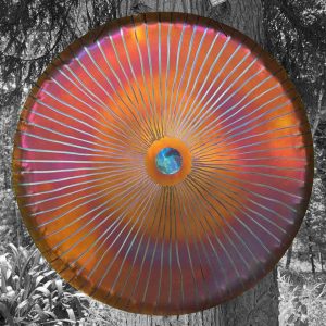 UNIVERSE GONG Vento (Wind Gong) VT80-0008 - Note E1 (79 cm, 4.6 kg)